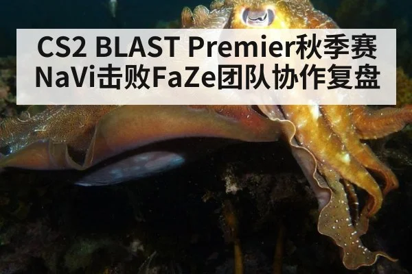 CS2 BLAST Premier秋季赛NaVi击败FaZe团队协作复盘