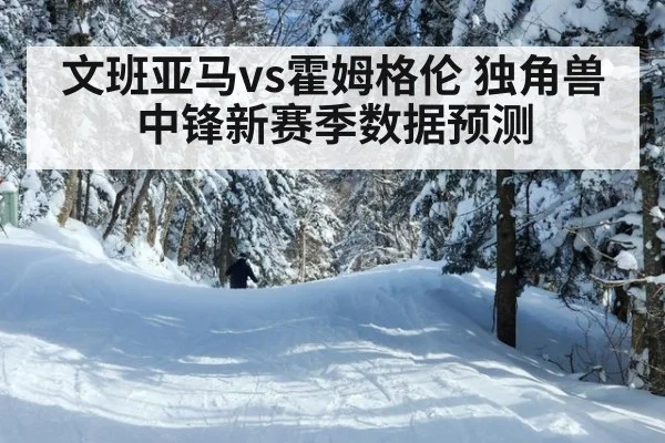 文班亚马vs霍姆格伦 独角兽中锋新赛季数据预测