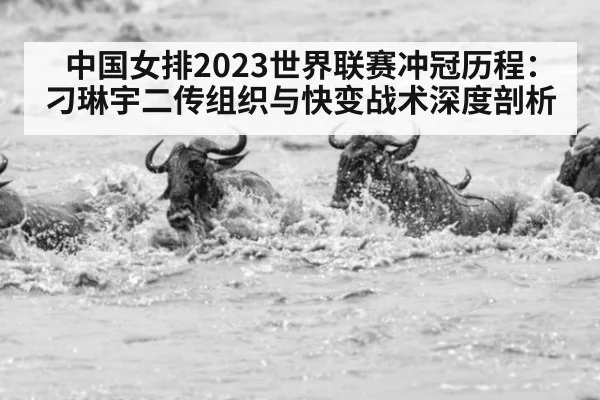 中国女排2023世界联赛冲冠历程：刁琳宇二传组织与快变战术深度剖析