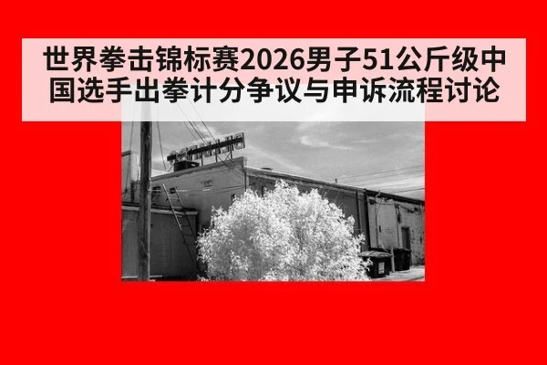 世界拳击锦标赛2026男子51公斤级中国选手出拳计分争议与申诉流程讨论